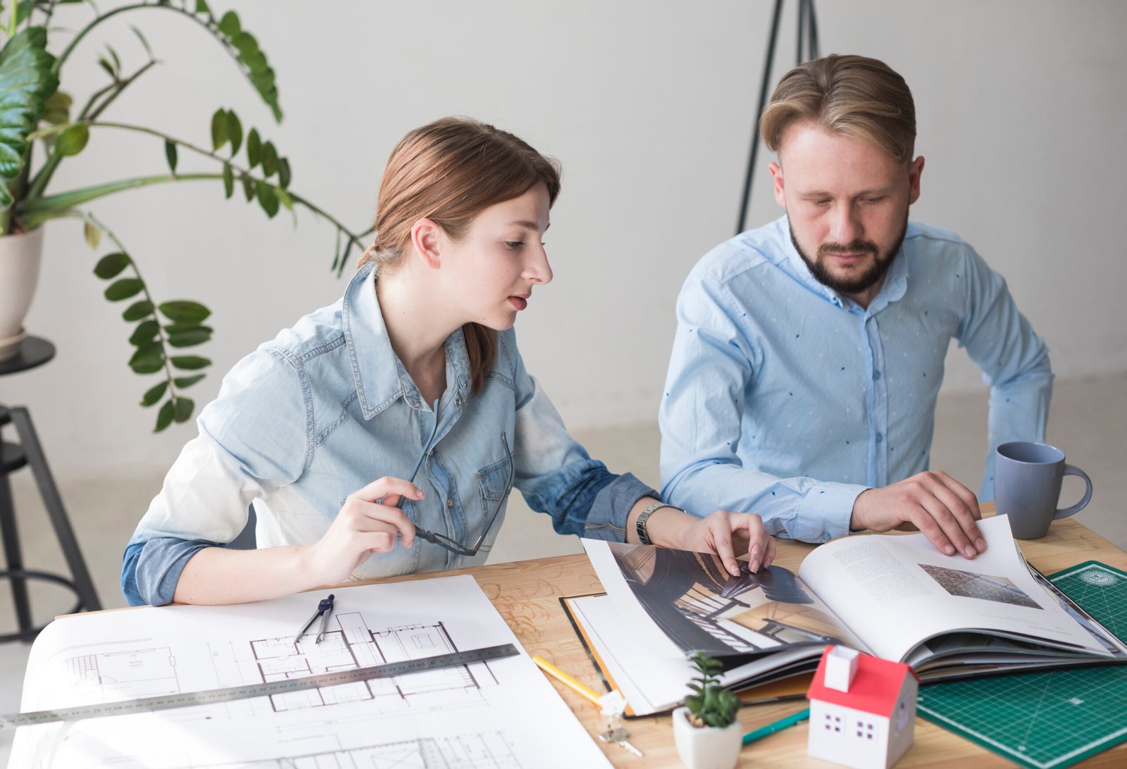 Why Real Estate Discipline is Represented by BOMA? | 10 Greatest Beginner Guide