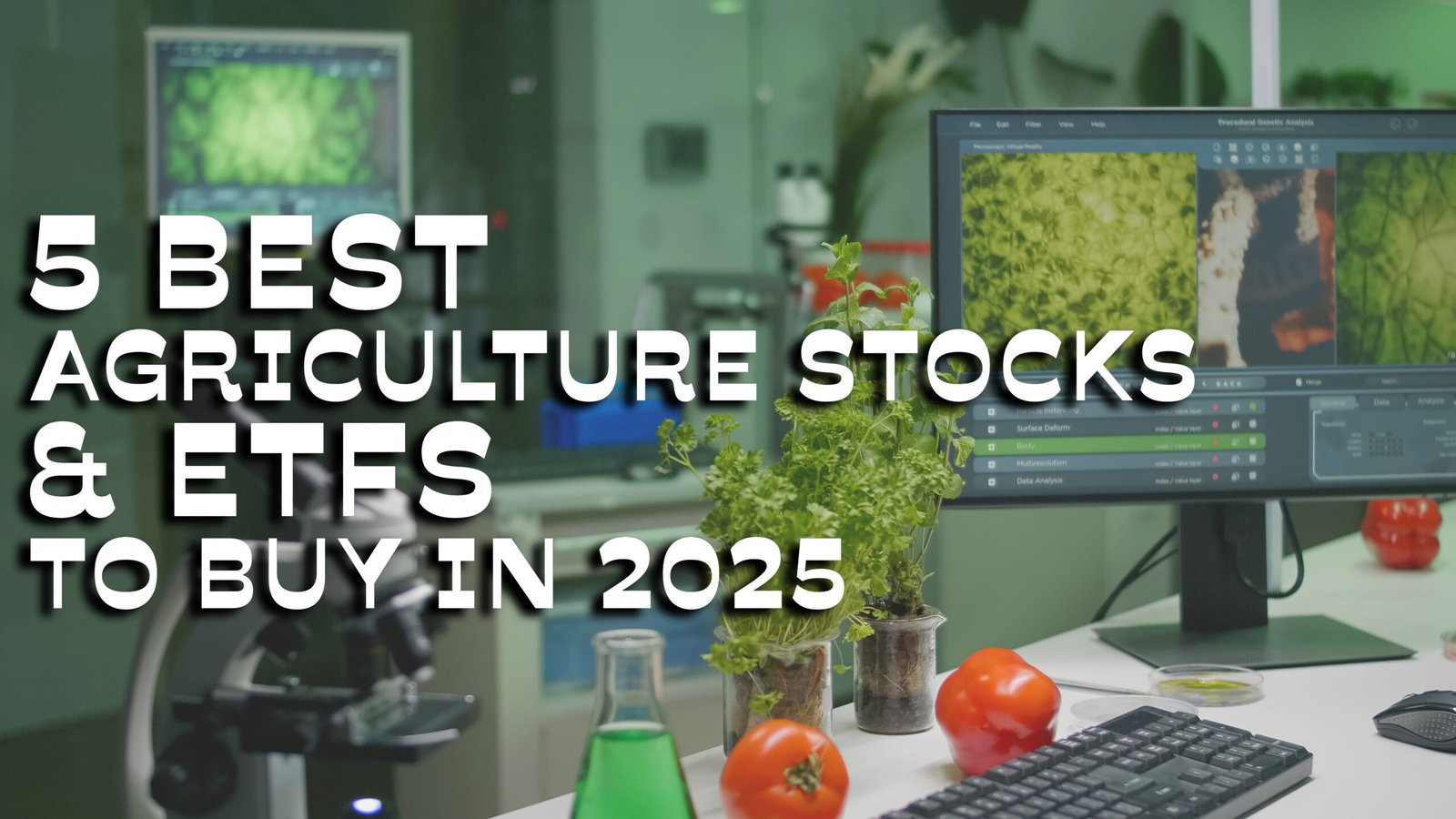 5 Best Agriculture Stocks And ETFs to Buy