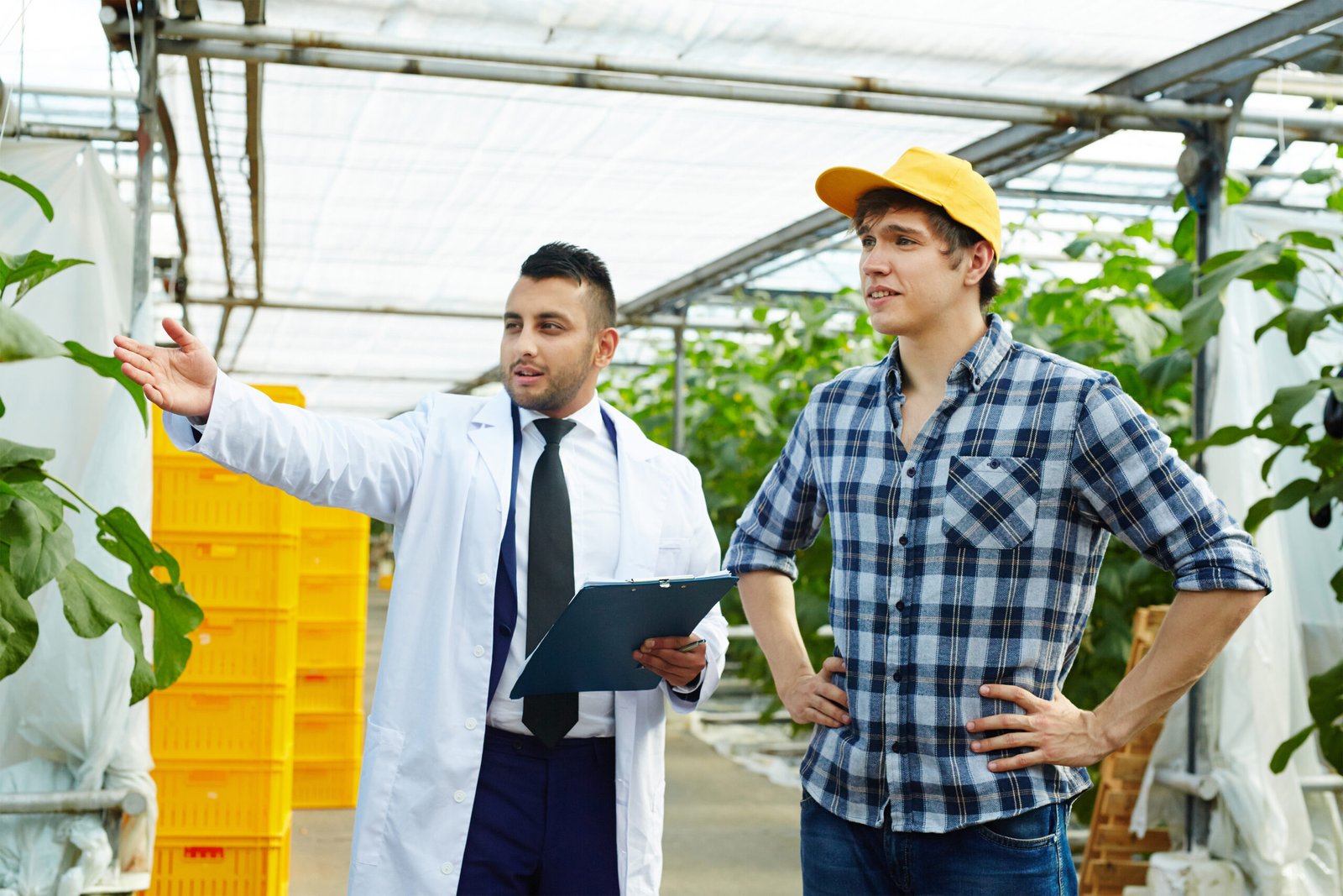 5 Best Agriculture Stocks And ETFs to Buy in 2025