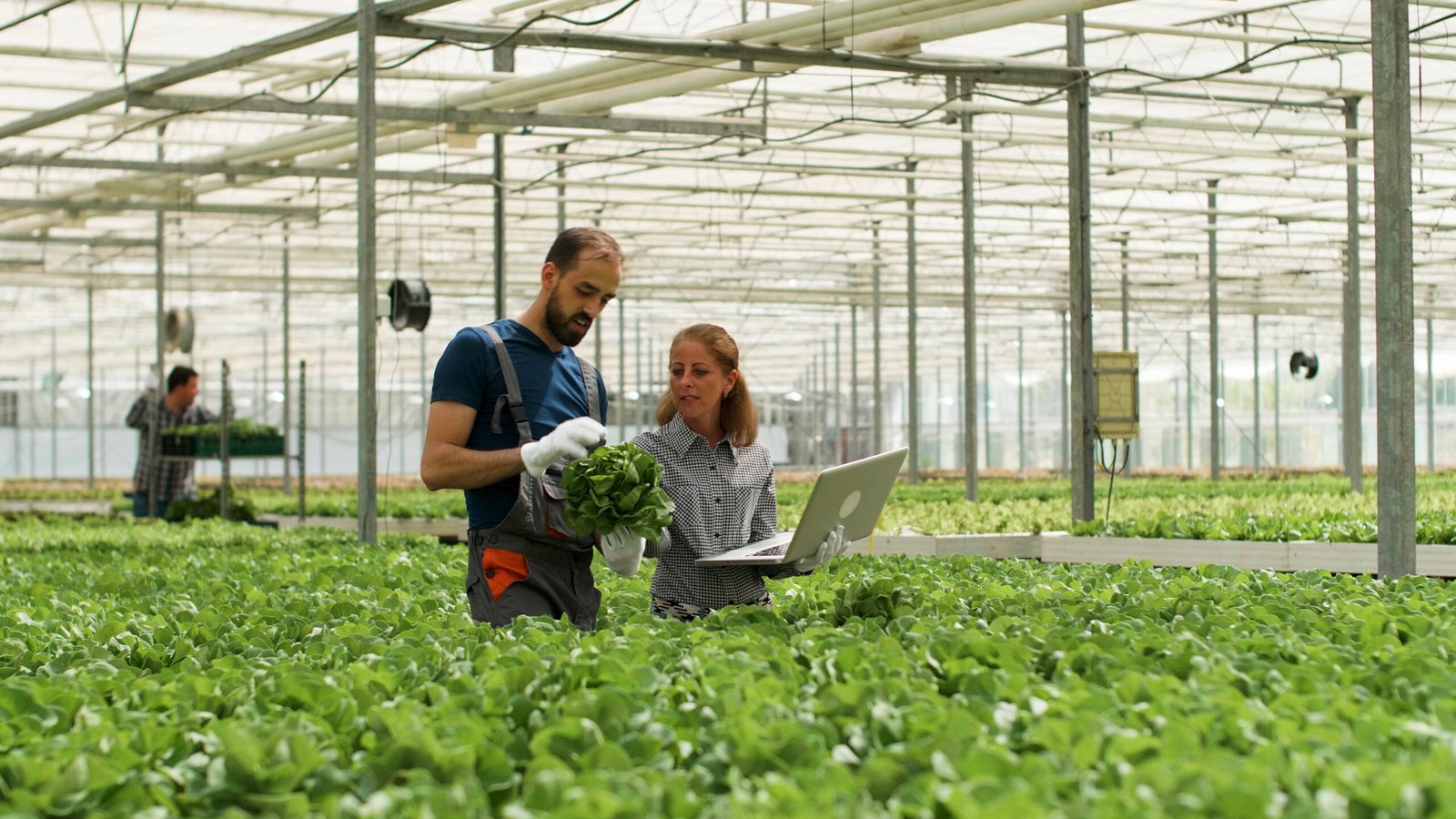 5 Best Agriculture Stocks And ETFs to Buy in 2025